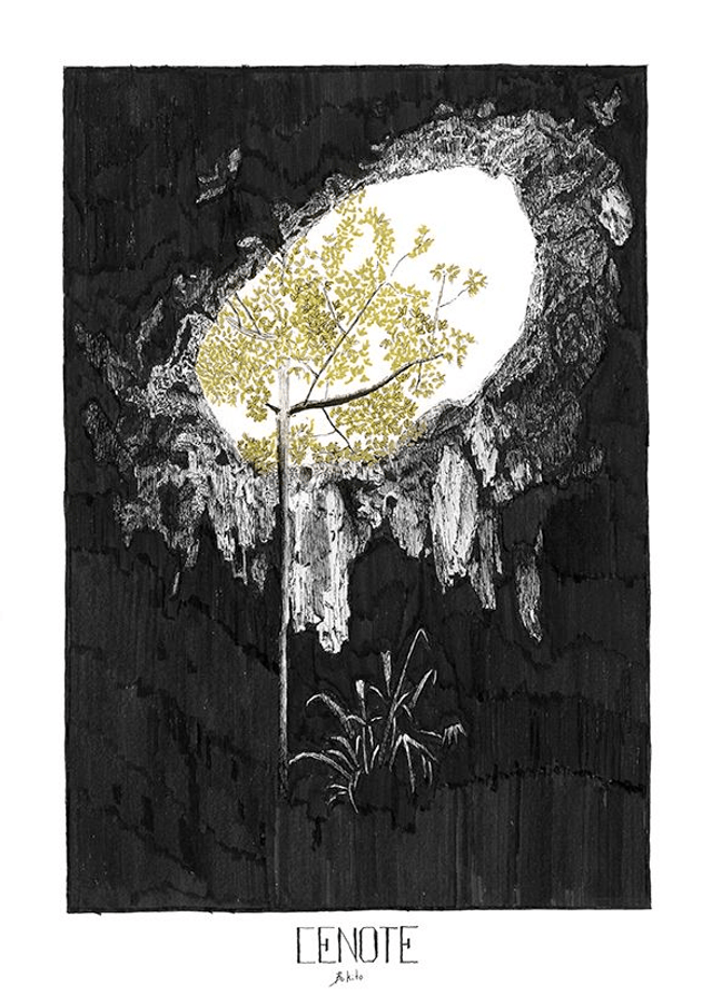 CENOTE - édition limitée - illustration noire et dorée - a4