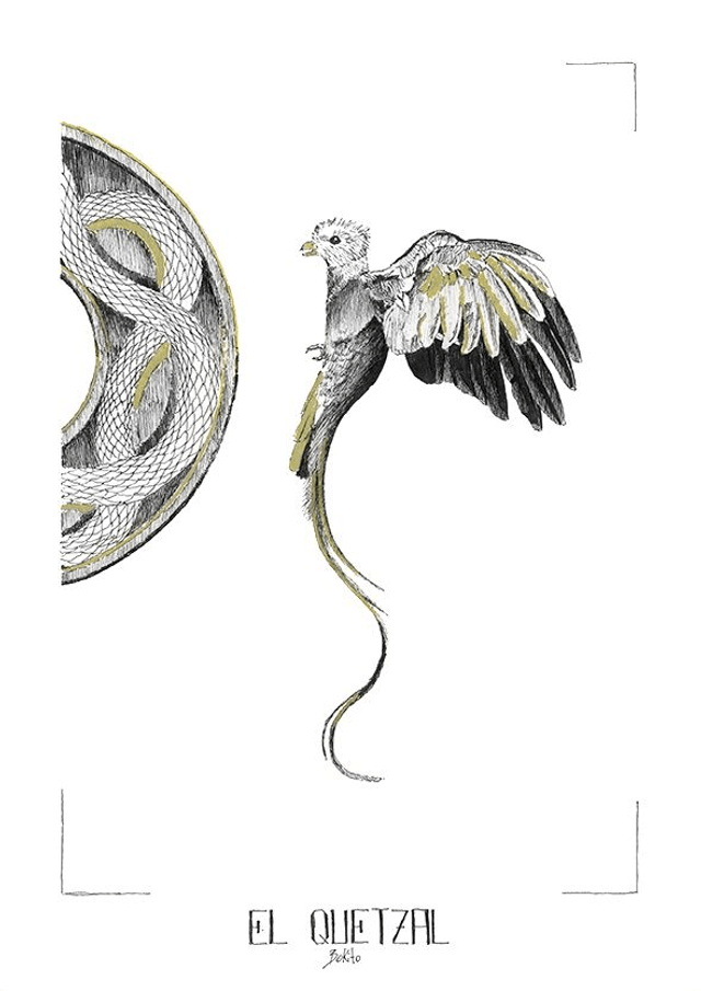 EL QUETZAL - édition limitée - illustration noire et dorée - a4
